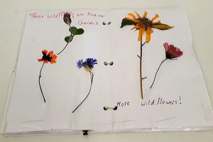 DIY Pressed Flower Journal