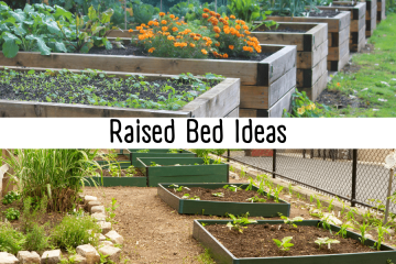 raised bed ideas title image