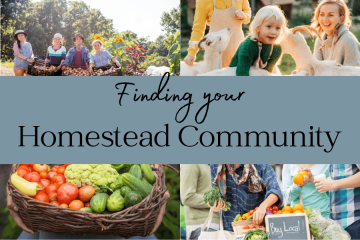 finding your homestead community banner